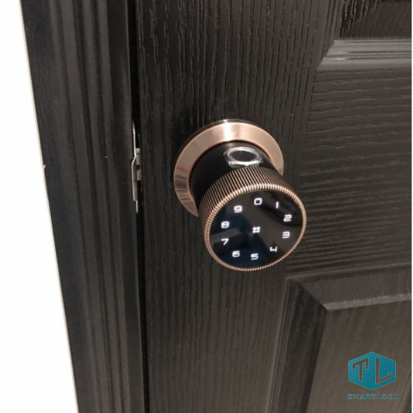 Khóa Vân Tay Cửa Gỗ Laffer B12 21 Khóa vân tay cửa gỗ Laffer B12 thiết kế chuyên dụng cho cửa gỗ