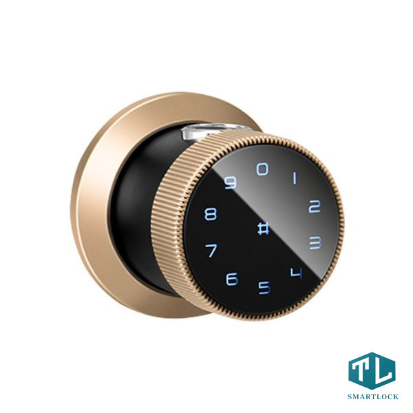 Khóa Vân Tay Cửa Gỗ Laffer B12