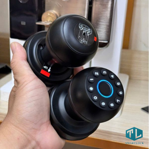 Khóa Vân Tay Cửa Gỗ TL31